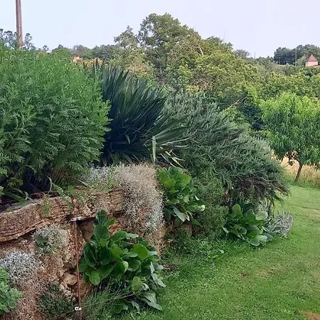 La Bellevue 度假居