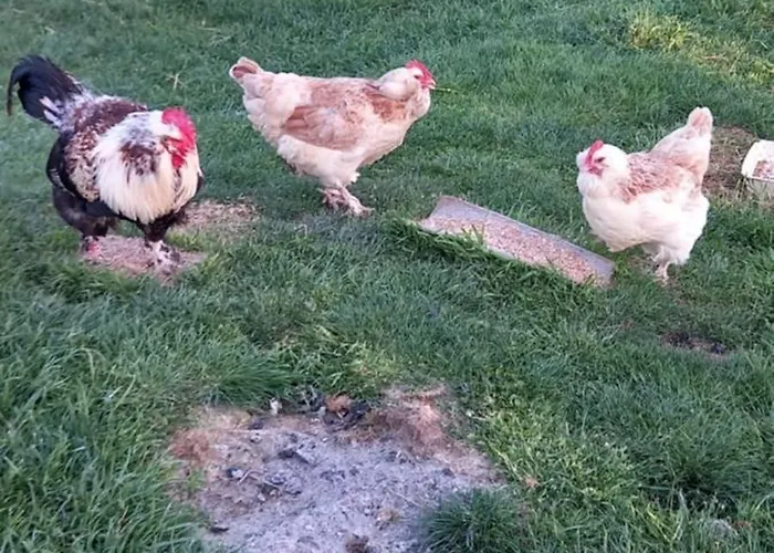 La Bellevue Ferienhaus Montcléra